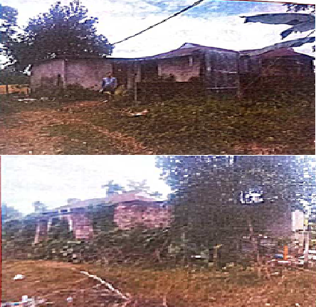 JOYGURU PAPER PLATE INDUSTRIES